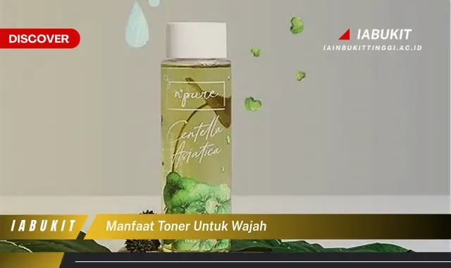 manfaat toner untuk wajah