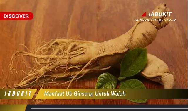 manfaat ub ginseng untuk wajah