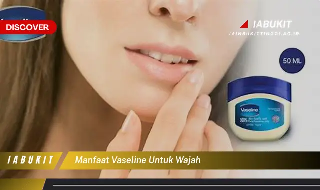 manfaat vaseline untuk wajah manfaat vaseline untuk wajah