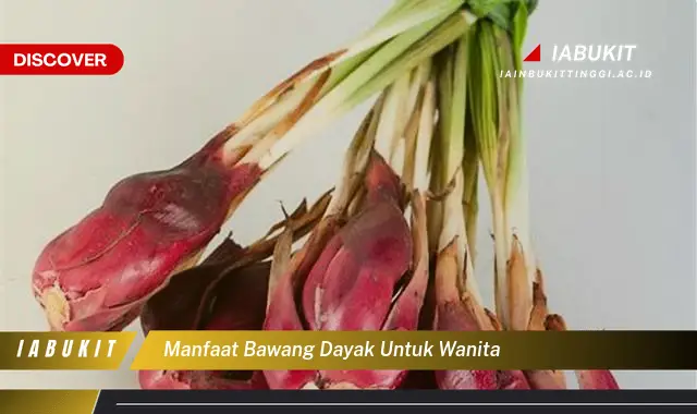manfaat bawang dayak untuk wanita manfaat bawang dayak untuk wanita