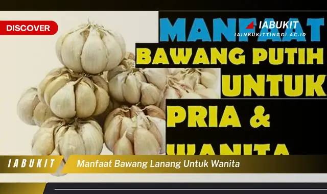 manfaat bawang lanang untuk wanita