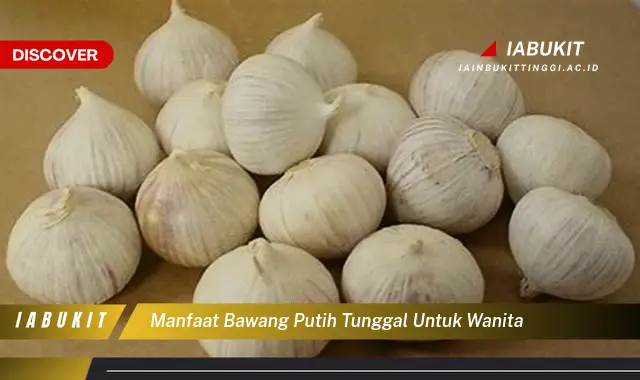 manfaat bawang putih tunggal untuk wanita