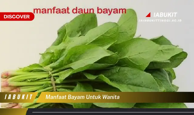 manfaat bayam untuk wanita