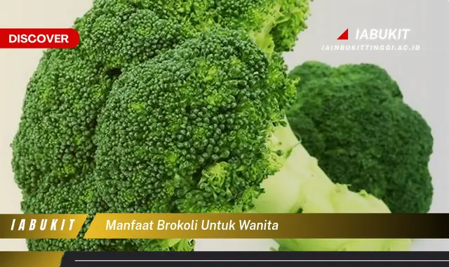 manfaat brokoli untuk wanita manfaat brokoli untuk wanita