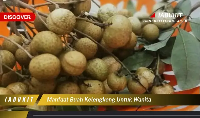 manfaat buah kelengkeng untuk wanita