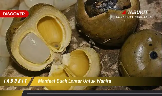 manfaat buah lontar untuk wanita