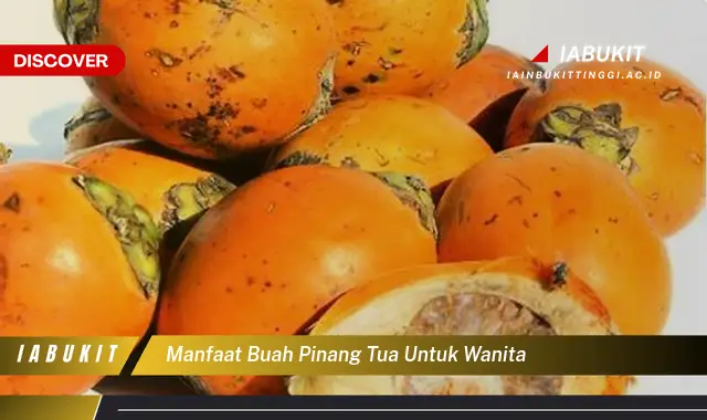 manfaat buah pinang tua untuk wanita