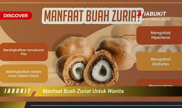 manfaat buah zuriat untuk wanita