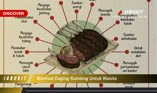 manfaat daging kambing untuk wanita