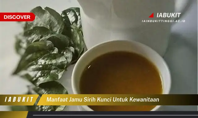 manfaat jamu sirih kunci untuk kewanitaan manfaat jamu sirih kunci untuk kewanitaan