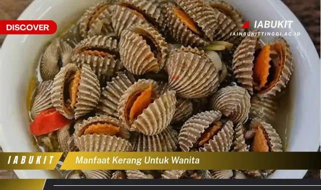 manfaat kerang untuk wanita manfaat kerang untuk wanita
