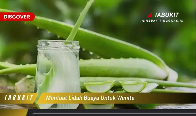 manfaat lidah buaya untuk wanita