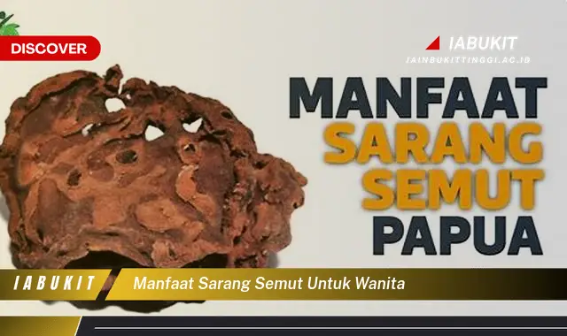 manfaat sarang semut untuk wanita manfaat sarang semut untuk wanita