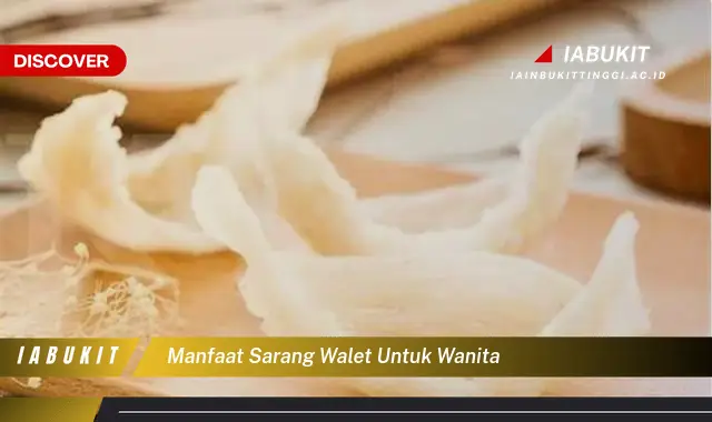 manfaat sarang walet untuk wanita