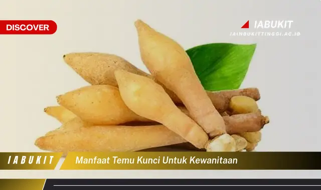 manfaat temu kunci untuk kewanitaan