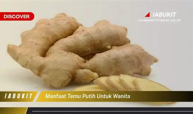 manfaat temu putih untuk wanita