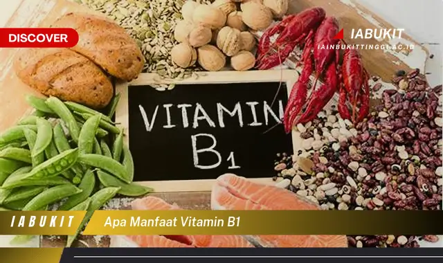 apa manfaat vitamin b1