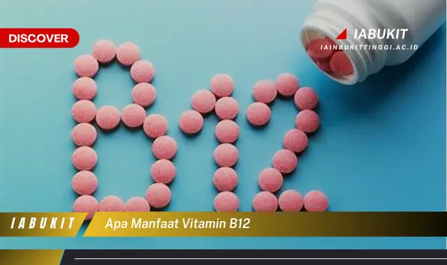 apa manfaat vitamin b12