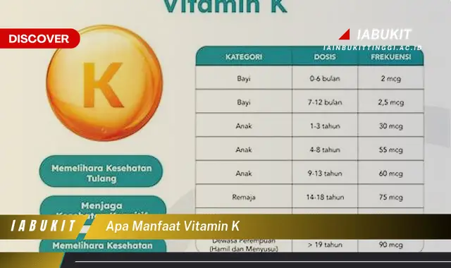 apa manfaat vitamin k