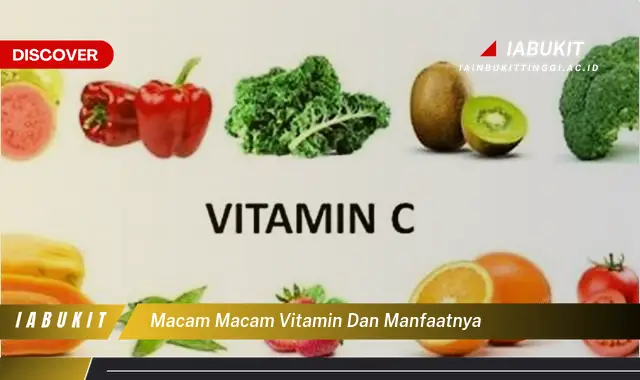 macam macam vitamin dan manfaatnya