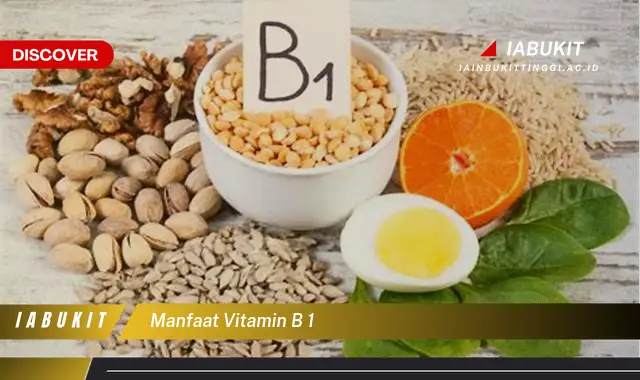 manfaat vitamin b 1