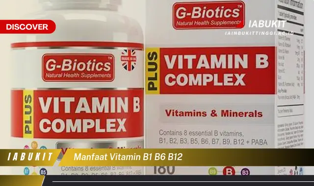 Ketahui 7 Manfaat Vitamin B1, B6, Dan B12 Yang Bikin Kamu Penasaran ...