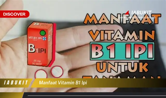 manfaat vitamin b1 ipi