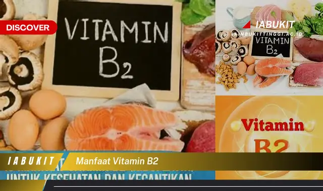 Temukan 7 Manfaat Vitamin B2 Jarang Diketahui yang Bikin Kamu Penasaran
