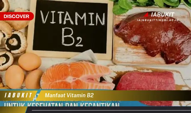 manfaat vitamin b2