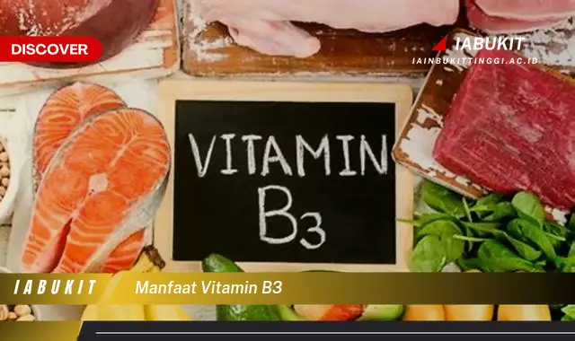 manfaat vitamin b3