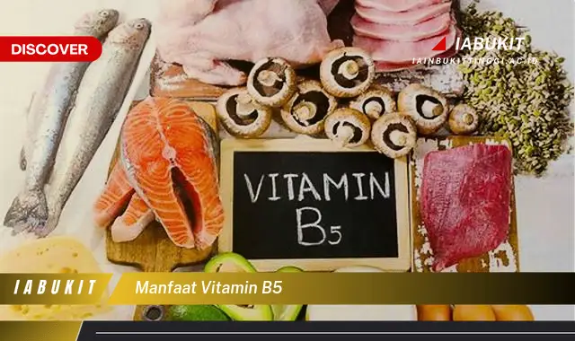 manfaat vitamin b5