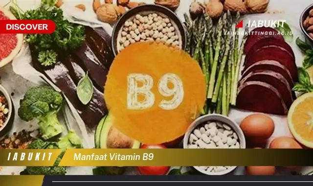 manfaat vitamin b9