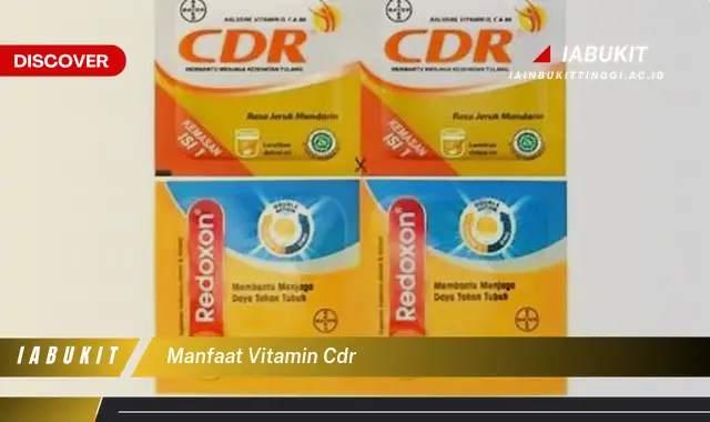 Intip 7 Manfaat Vitamin Cdr Yang Bikin Kamu Penasaran Discover