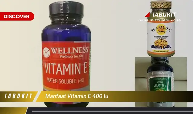 Ketahui 7 Manfaat Vitamin E 400 IU Bikin Kamu Penasaran