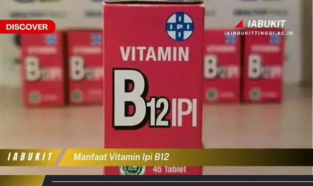 manfaat vitamin ipi b12