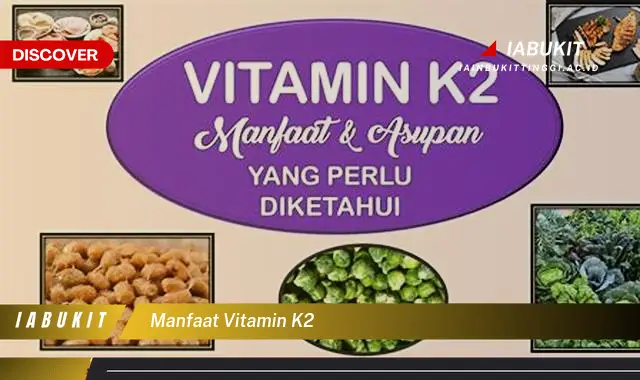 manfaat vitamin k2