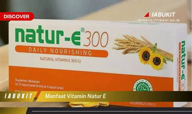 manfaat vitamin natur e