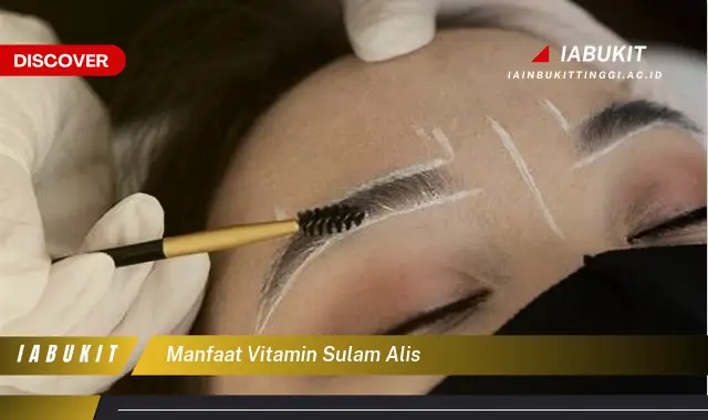 manfaat vitamin sulam alis