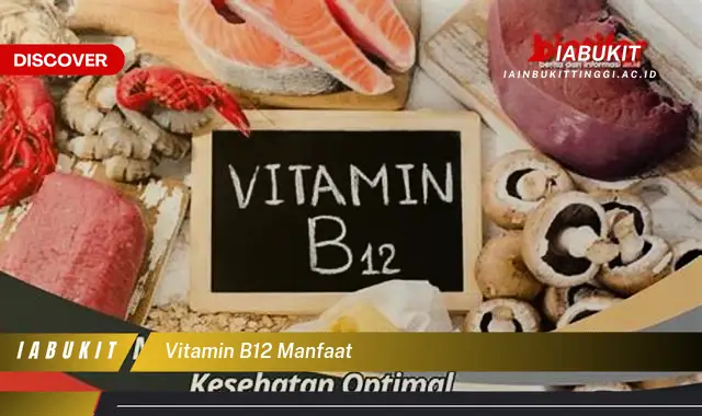 vitamin b12 manfaat