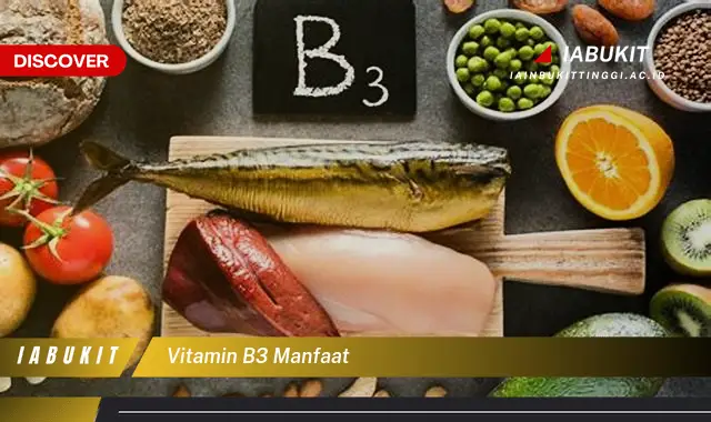 vitamin b3 manfaat