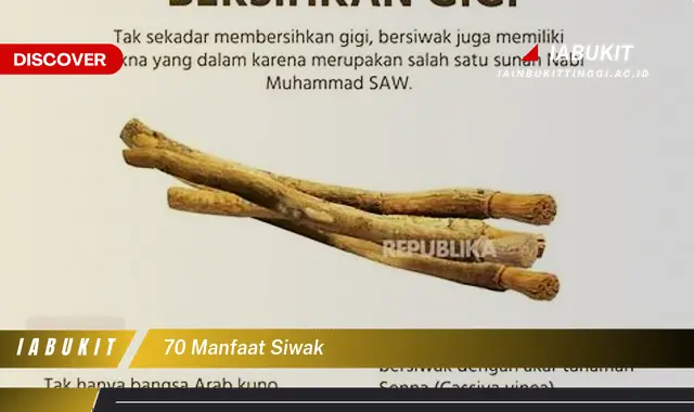 70 manfaat siwak