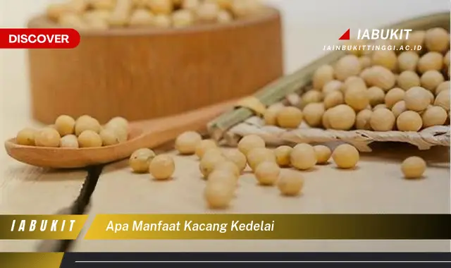 apa manfaat kacang kedelai