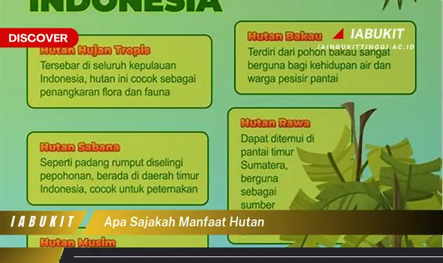 apa sajakah manfaat hutan