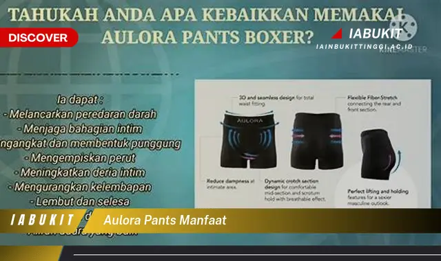 aulora pants manfaat