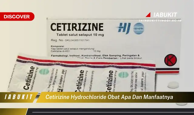 cetirizine hydrochloride obat apa dan manfaatnya cetirizine hydrochloride obat apa dan manfaatnya