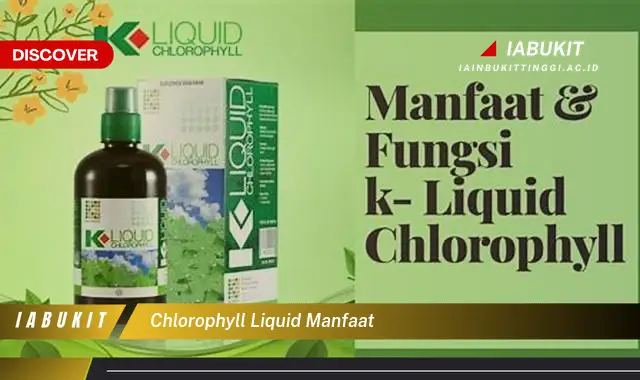 chlorophyll liquid manfaat