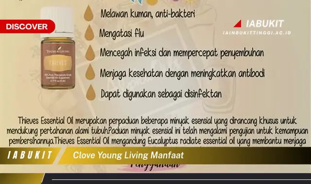 clove young living manfaat clove young living manfaat