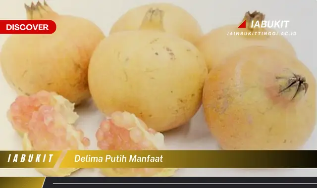 delima putih manfaat