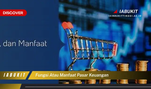 fungsi atau manfaat pasar keuangan