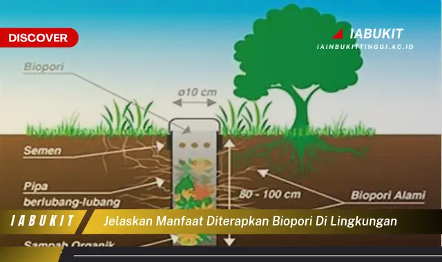 jelaskan manfaat diterapkan biopori di lingkungan jelaskan manfaat diterapkan biopori di lingkungan